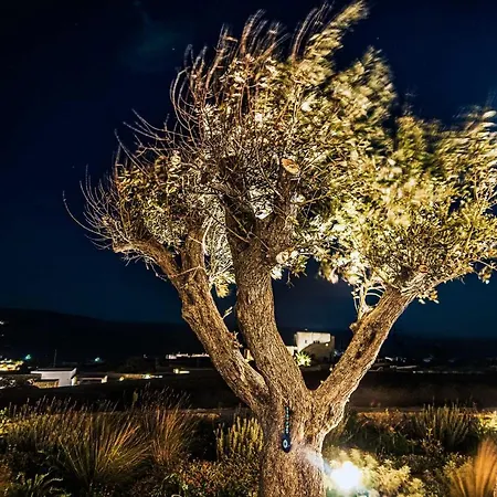 Elia By Mykonian Kazarte