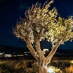 Elia By Mykonian Kazarte