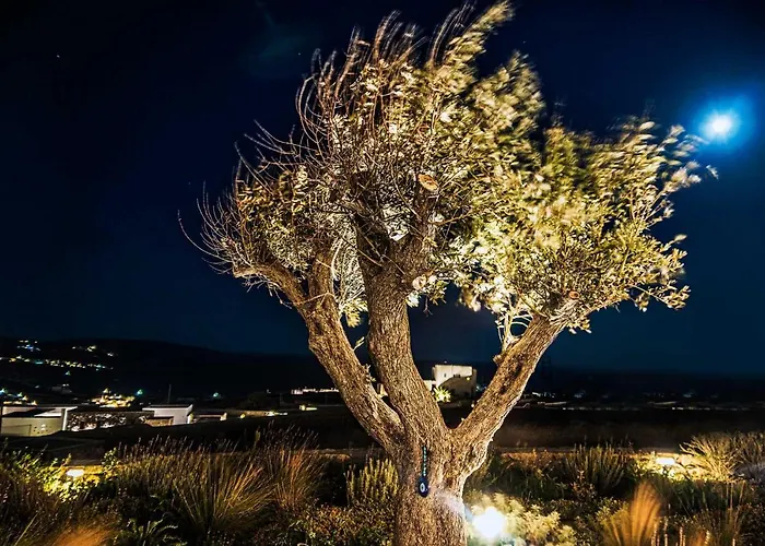 Elia By Mykonian Kazarte